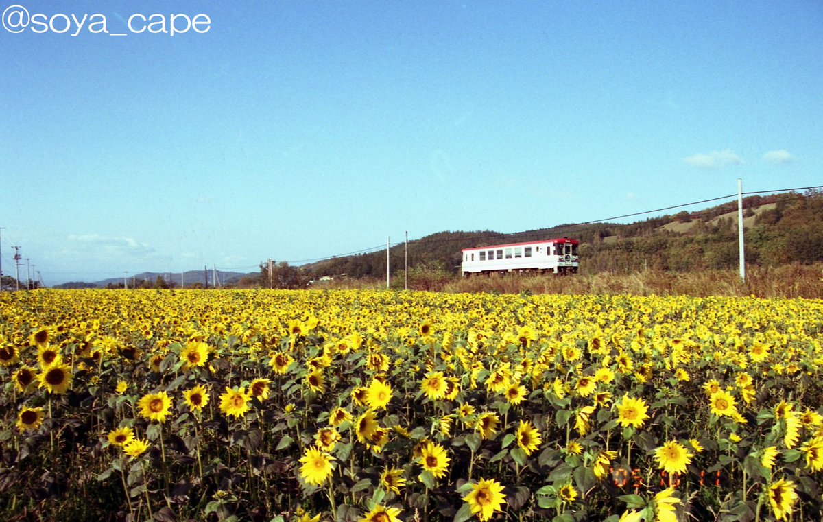 元最北のリスナー tweet media