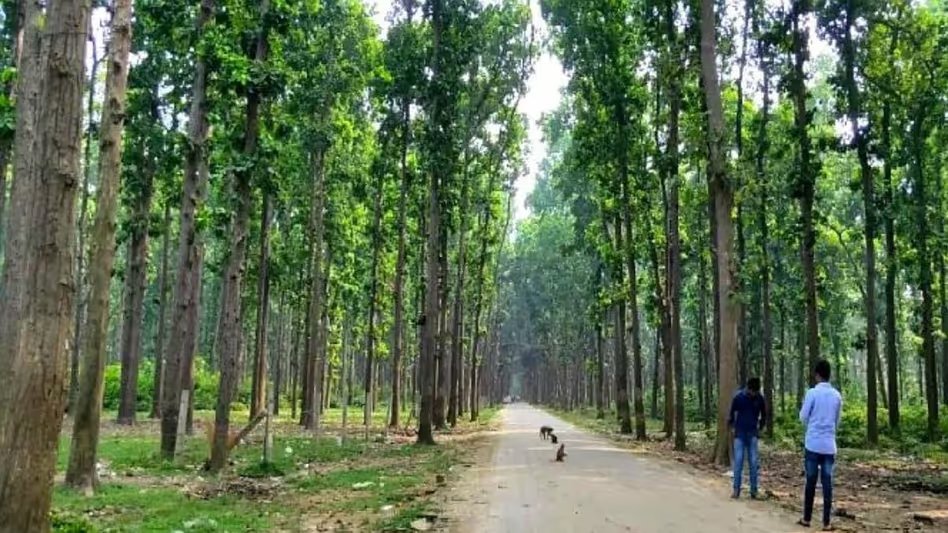 GoodNewsToday's tweet image. गोरखपुर के कुसम्ही जंगल में बनेगा आधुनिक इको पार्क, 4.84 करोड़ की परियोजना से पर्यटन और रोजगार को मिलेगा बढ़ावा

#Cottage #House #UPGovernment #UttarPradesh 

 रिपोर्ट: @iSamarthS

पूरी ख़बर पढ़ें:   tinyurl.com/yc6nuz92