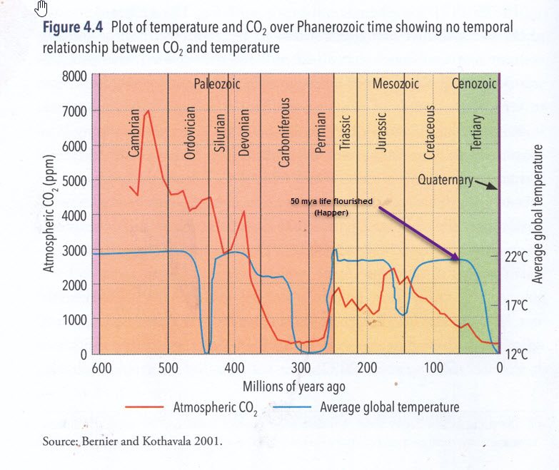Edmund Esterbauer tweet media