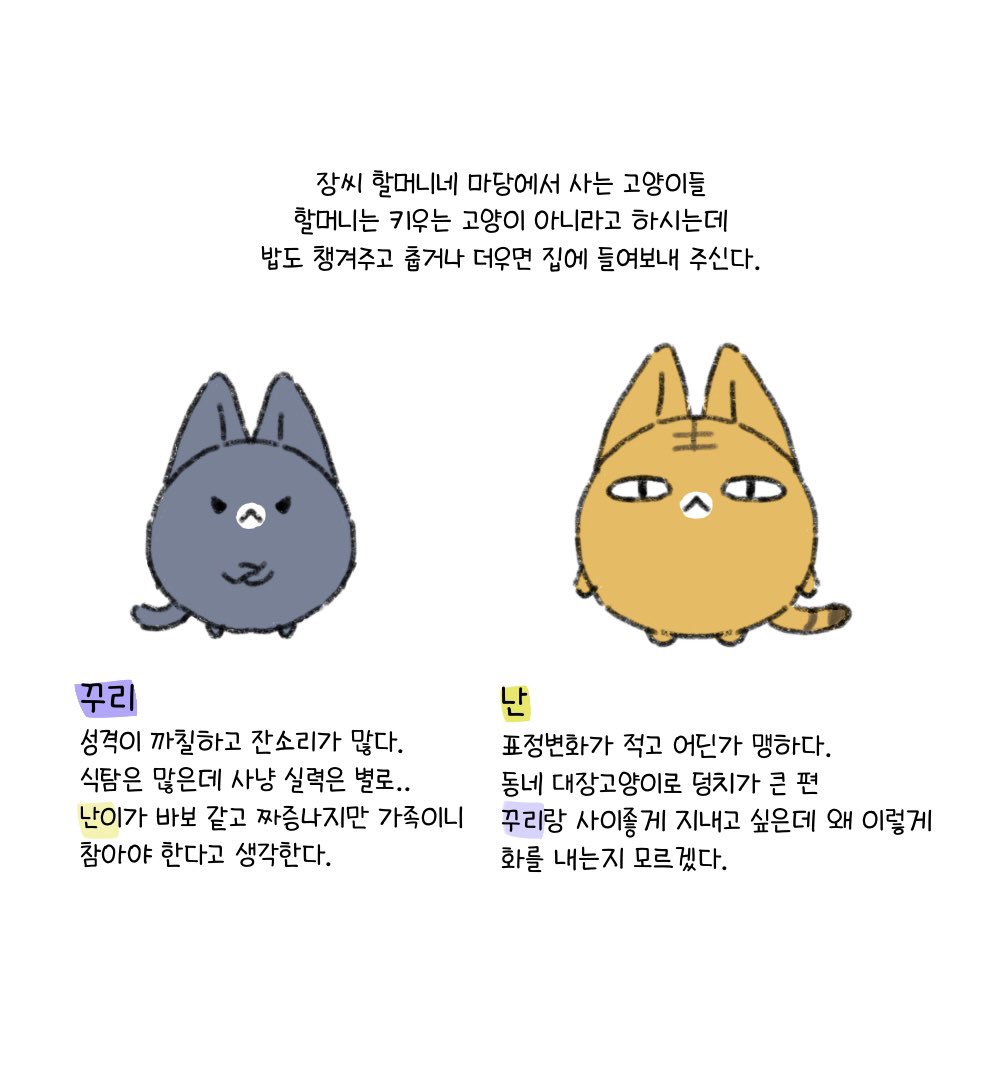 동동이 tweet media