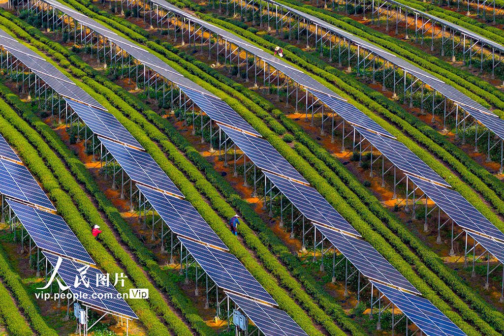 读懂中国 tweet media