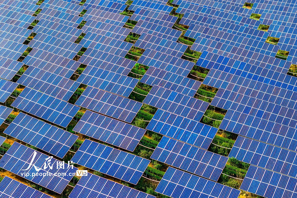 读懂中国 tweet media