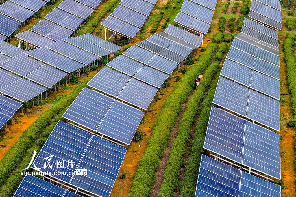 读懂中国 tweet media