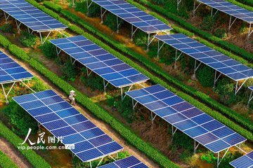 读懂中国 tweet media