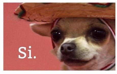 evlewt 🌧 ศาสนาพี่โนอา 🌈✨ tweet media