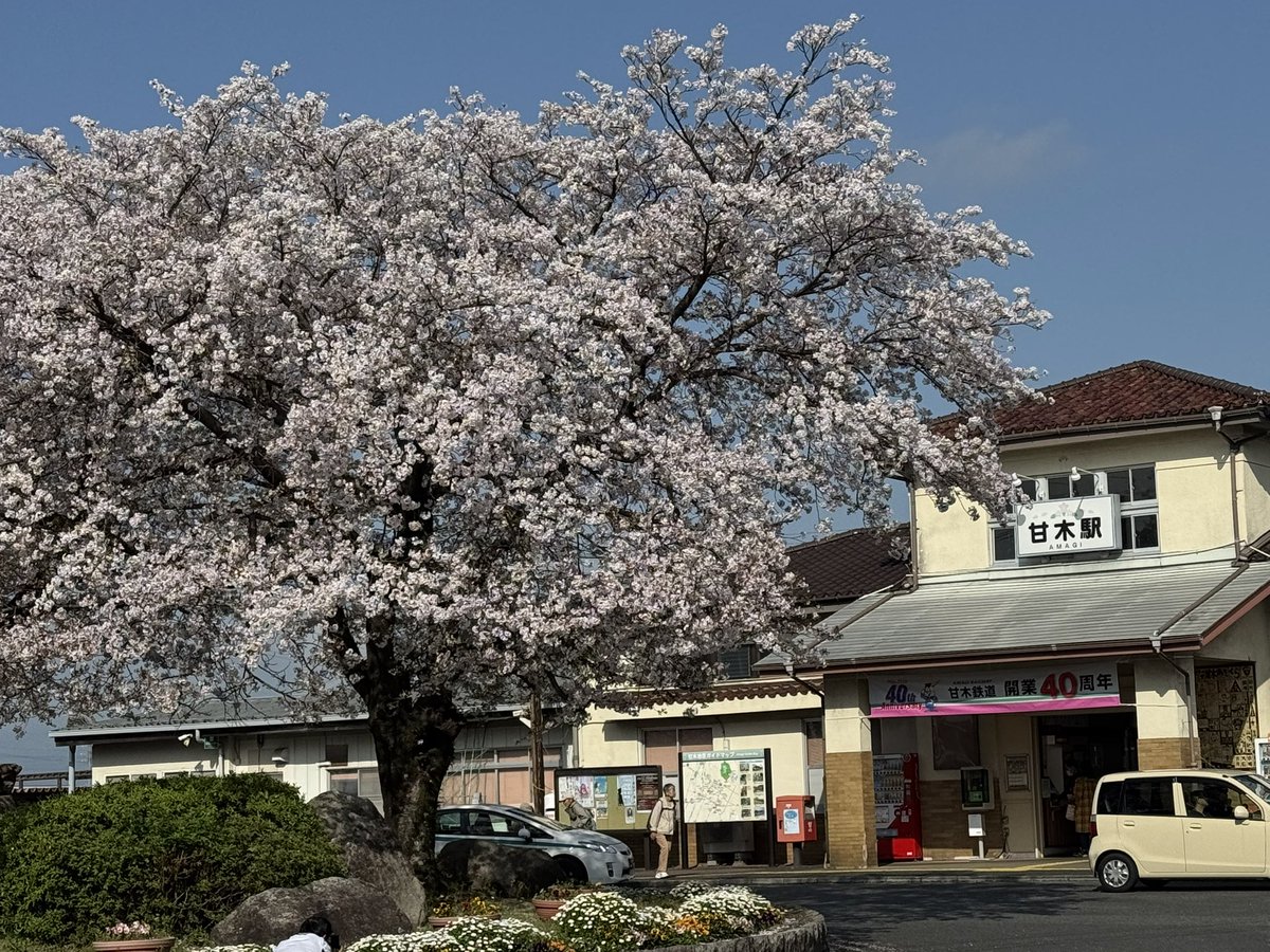 shigebay's tweet photo. 後輩の結婚式に参列。
もはや写真をほぼ撮ってないけど、いろんな方とご挨拶ができてよかったっす。
改めておめでとう。
桜もキレイ。

#結婚式 
#ザストリングス博多 
#生ハムとメロンは共存できるのか
#桜は甘木駅 https://t.co/5buU1FMpp8