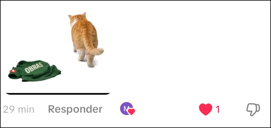 Mauricio J. 🌟 tweet media