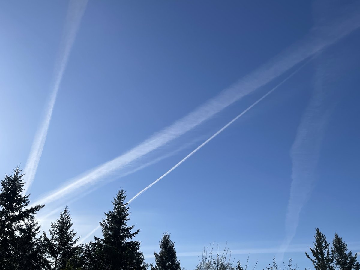 foofoolove's tweet photo. @ShareawareCdn @Dave_Eby @ForestryBC @GlobalBC @CHEK_News I saw it also https://t.co/cd5jl9KmNu