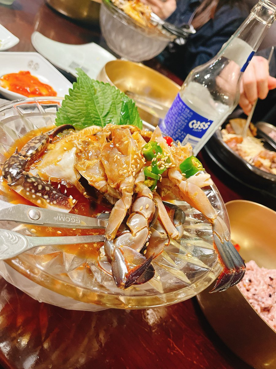1230chocomoe's tweet photo. 韓国に行っておりました。
桜満開のピンポイントで最高でした。 https://t.co/ctNKRgvdTB