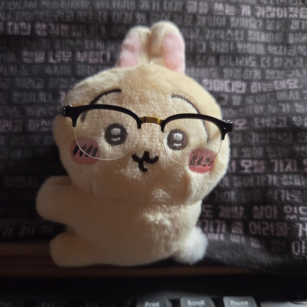 myBun529's tweet photo. https://t.co/AN6bqFVttD