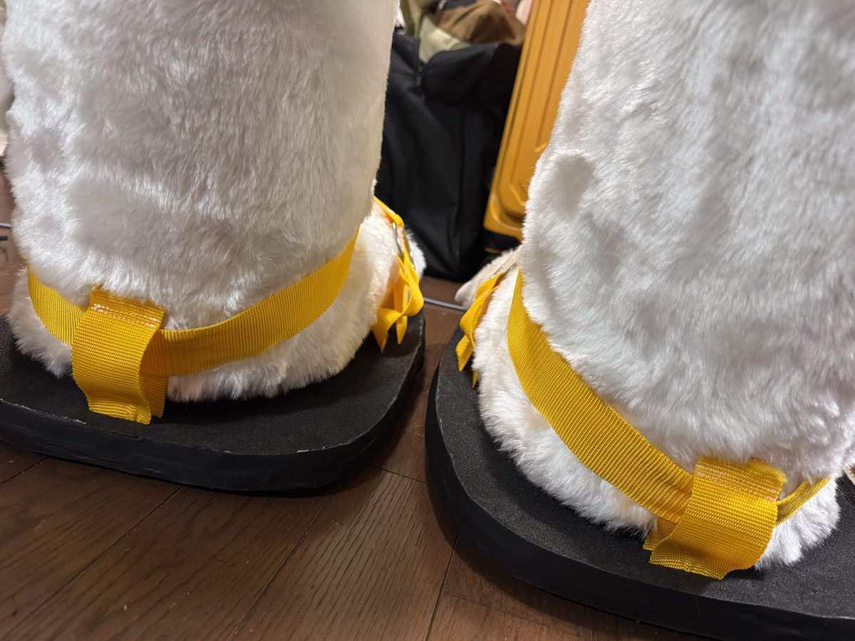 ウマリア tweet media