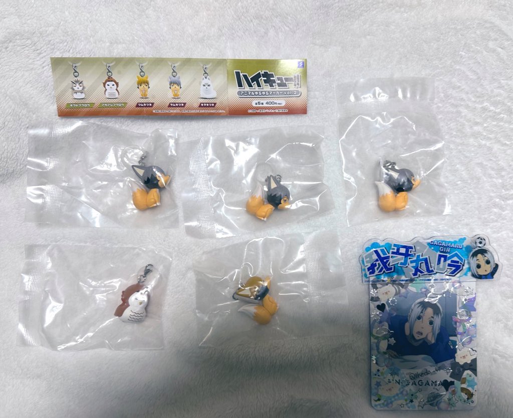 じゃがいも🐻‍プロカ必読 tweet media