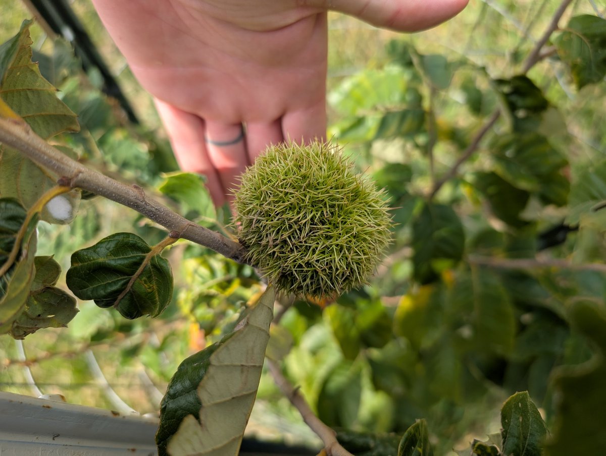 Patrick Heizer tweet media