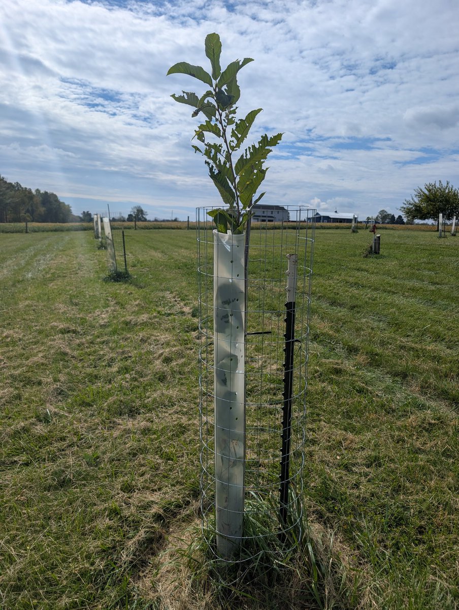 Patrick Heizer tweet media