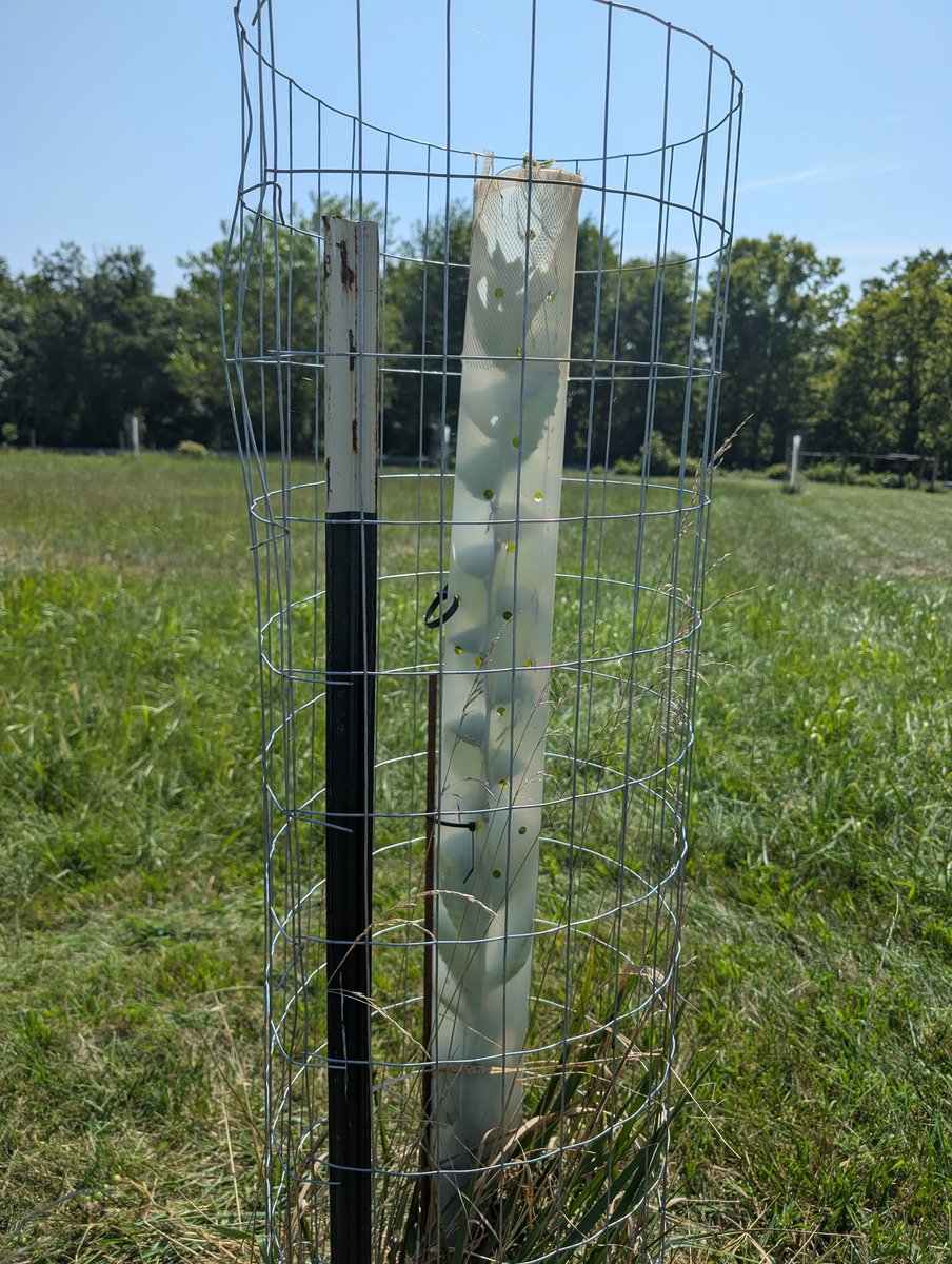 Patrick Heizer tweet media