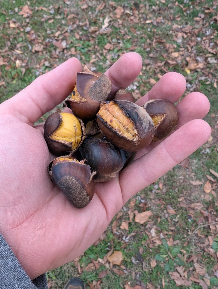 Patrick Heizer tweet media