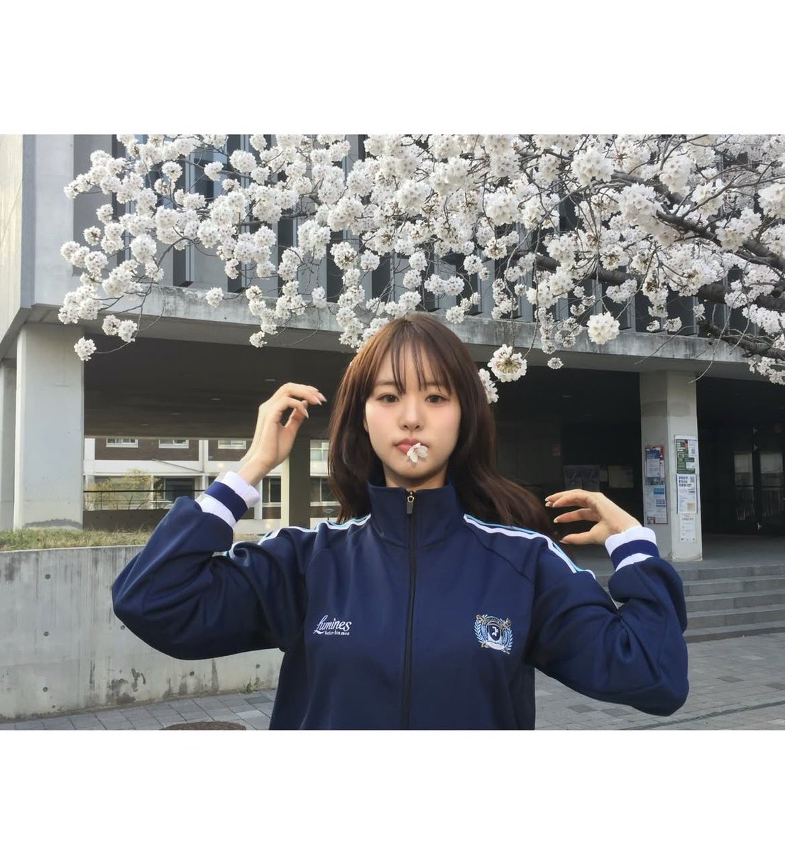 Honey 🥑🌙 tweet media