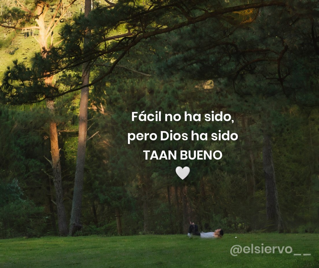 elsiervo__'s tweet photo. https://t.co/gbR3I5CKi4