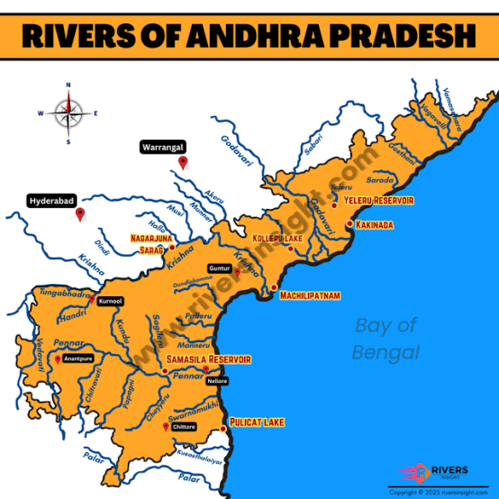 Citizen - Tiger Nation tweet media