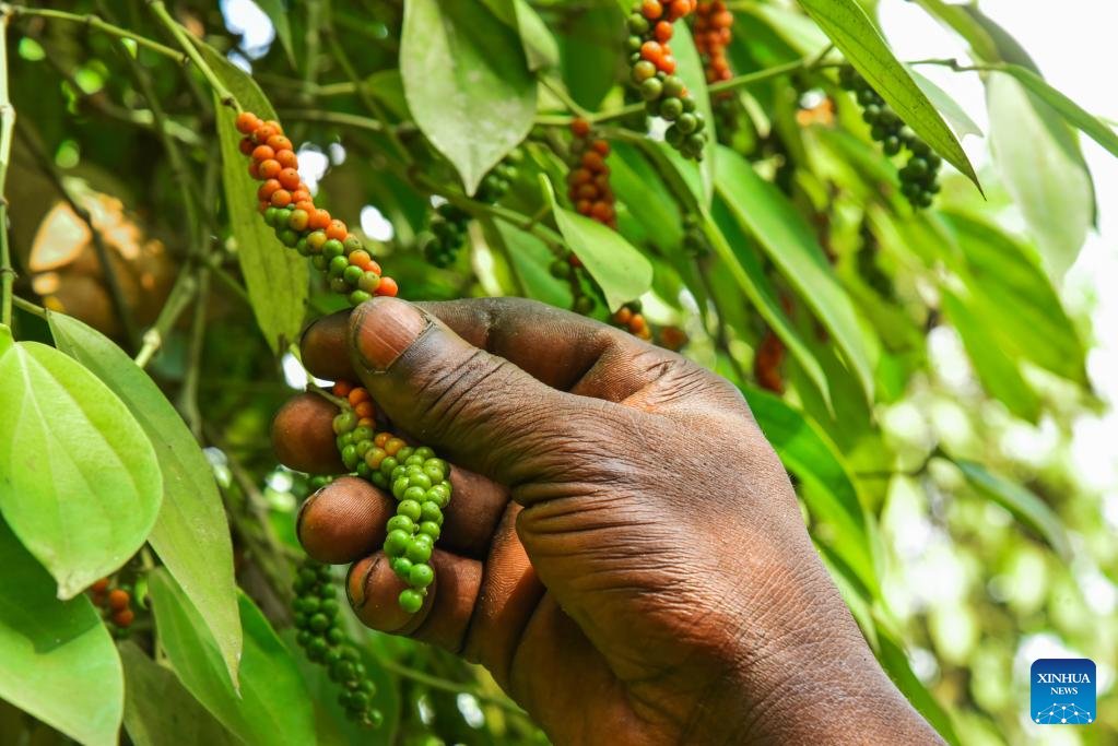 Grenville Ctrl tweet media