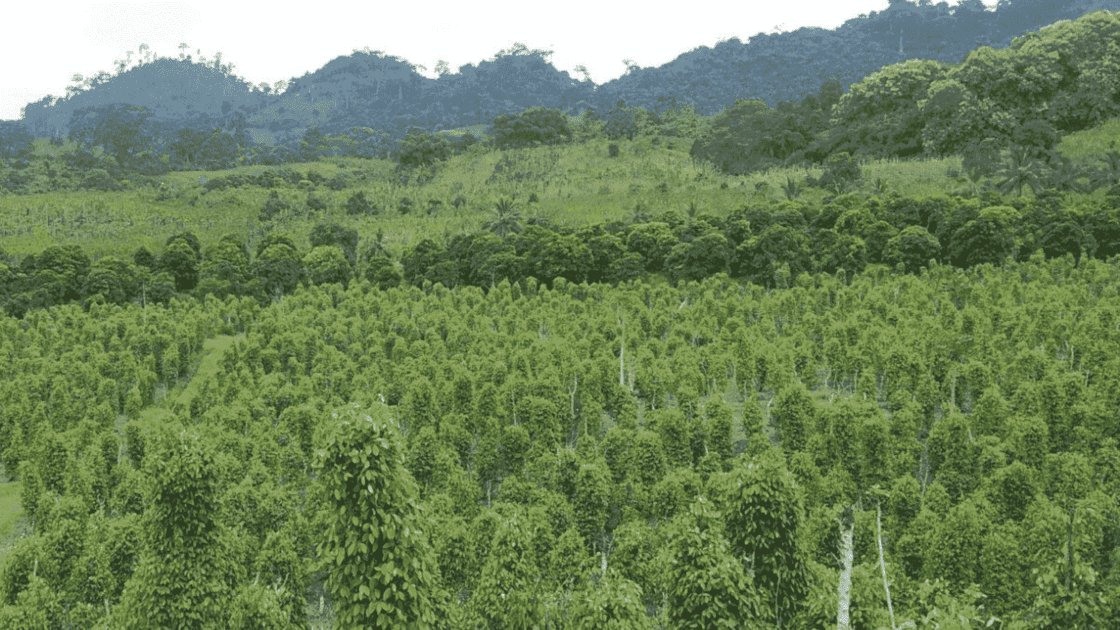 Grenville Ctrl tweet media