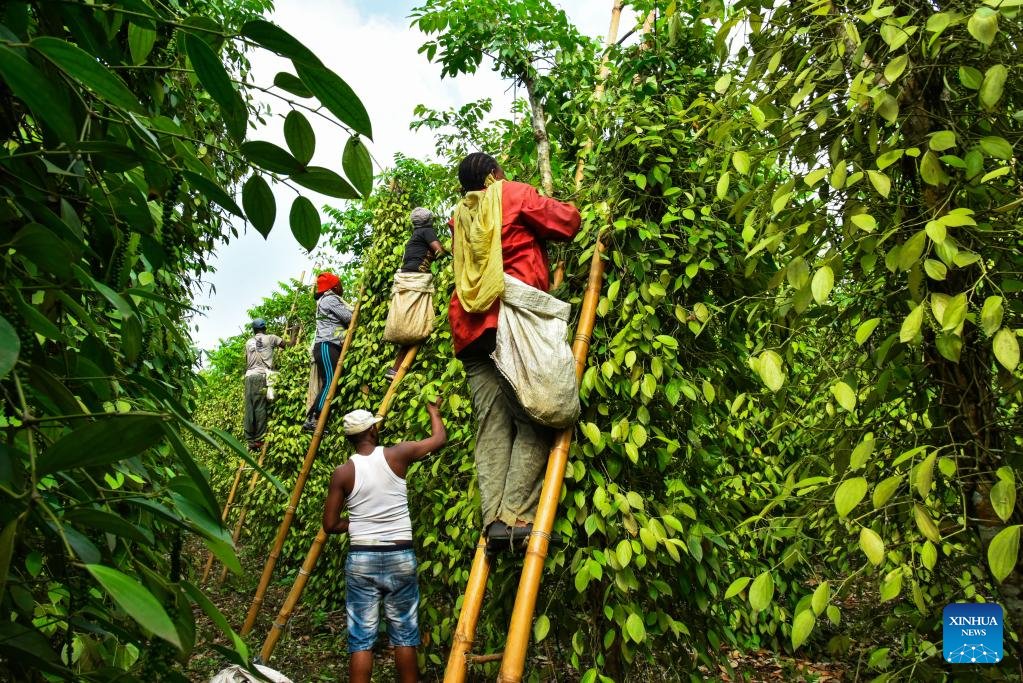 Grenville Ctrl tweet media