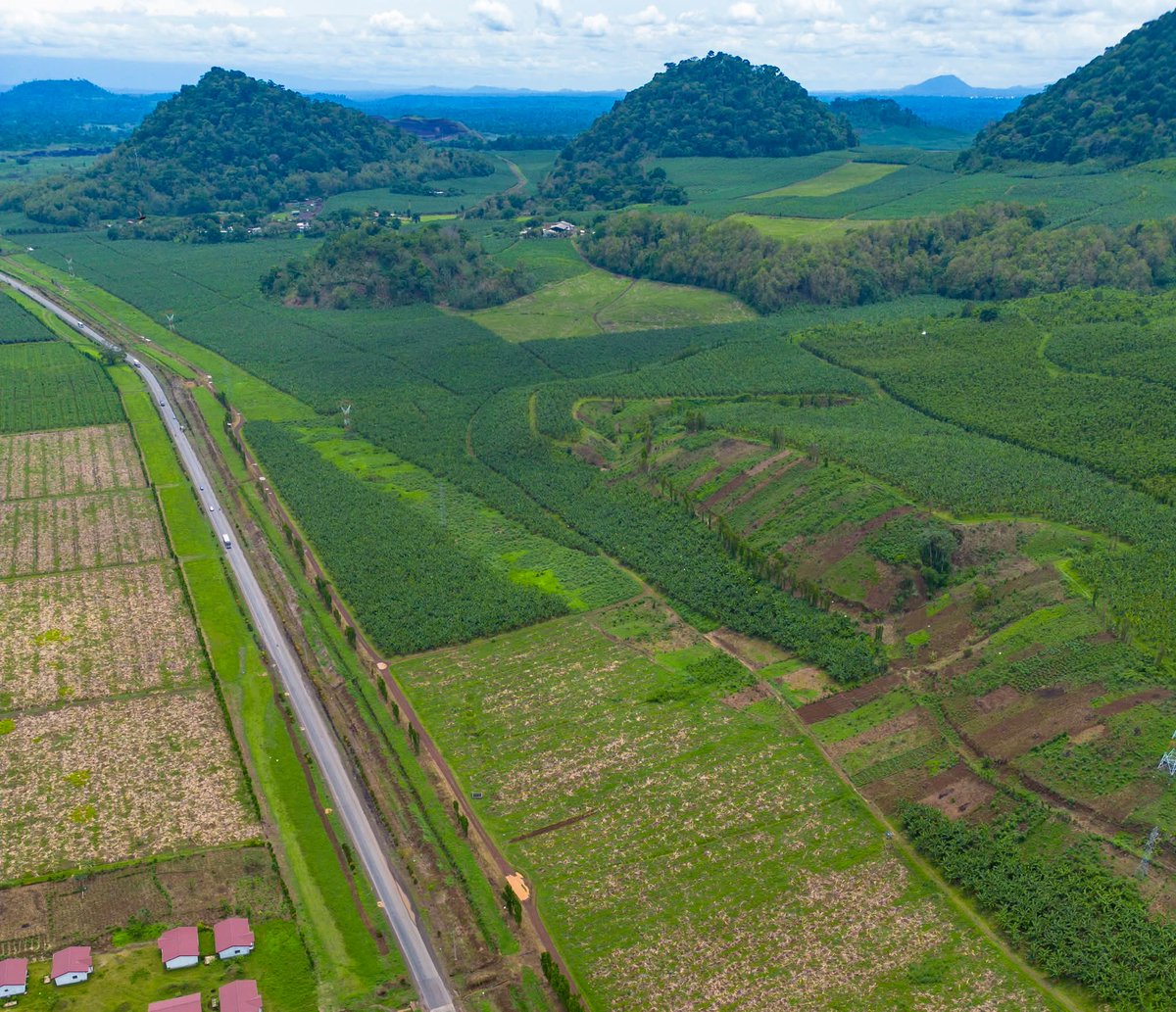 Grenville Ctrl tweet media