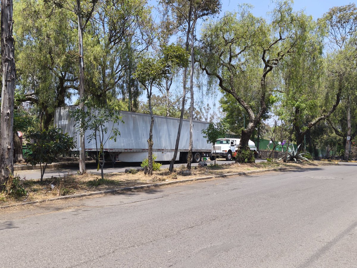 kapriella tweet media