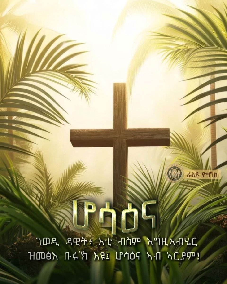 KOKEB TIGRAY3 tweet media