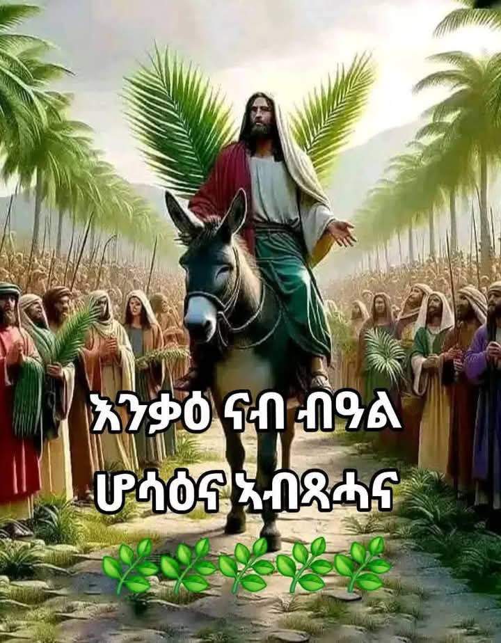 KOKEB TIGRAY3 tweet media