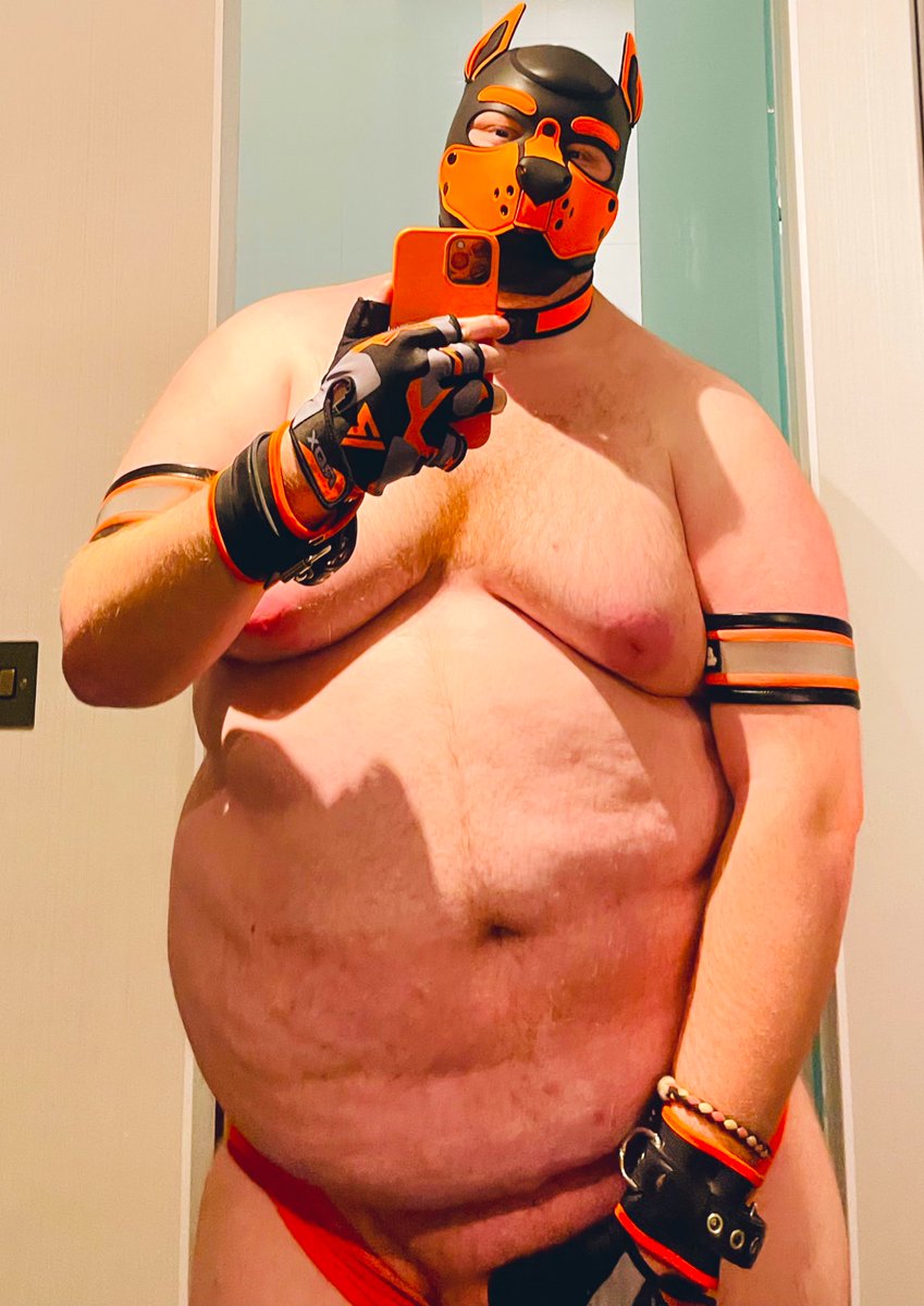 Big Dog Drake 🔜👀 tweet media