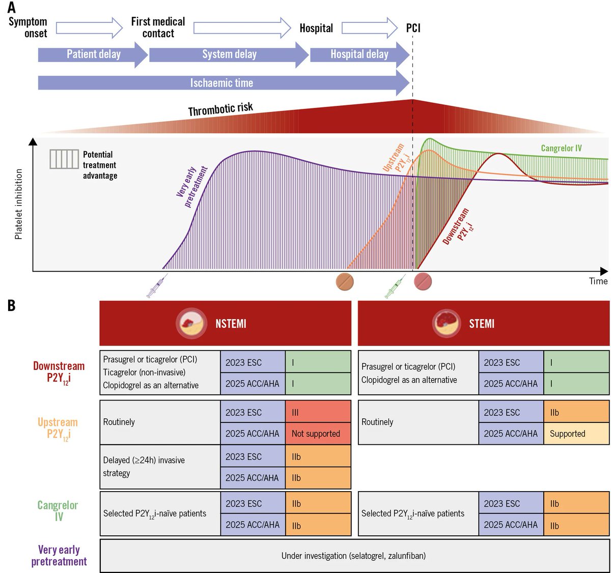 DFCapodanno's tweet photo. Management of patients undergoing PCI for coronary artery disease has evolved substantially, driven by early invasive strategies and changing use of oral antiplatelet pretreatment. This review synthesizes current evidence on antiplatelet pretreatment across NSTE-ACS, STEMI, and stable disease, and examines emerging data on novel parenteral therapies. https://t.co/pLcvgIZO5E