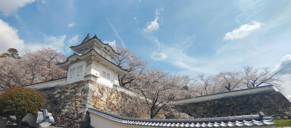 じゅんくどぅ tweet media