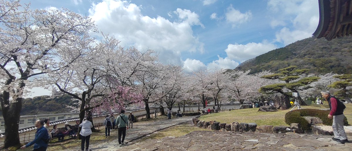 じゅんくどぅ tweet media