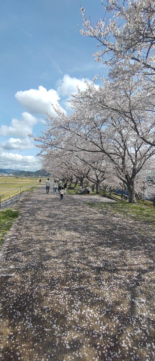 じゅんくどぅ tweet media