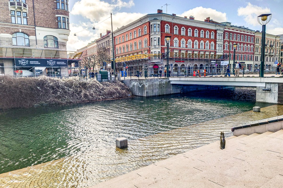 Lisa von Steijern🇸🇪 tweet media