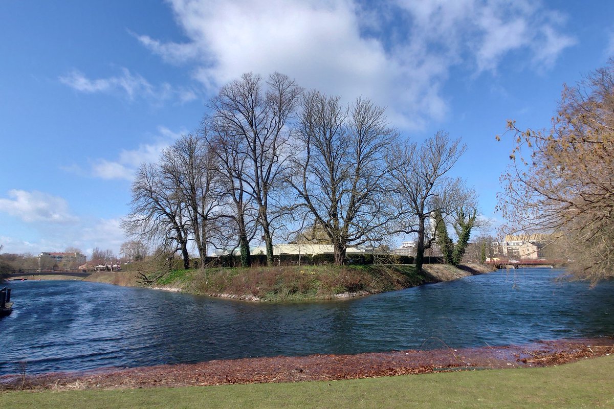 Lisa von Steijern🇸🇪 tweet media