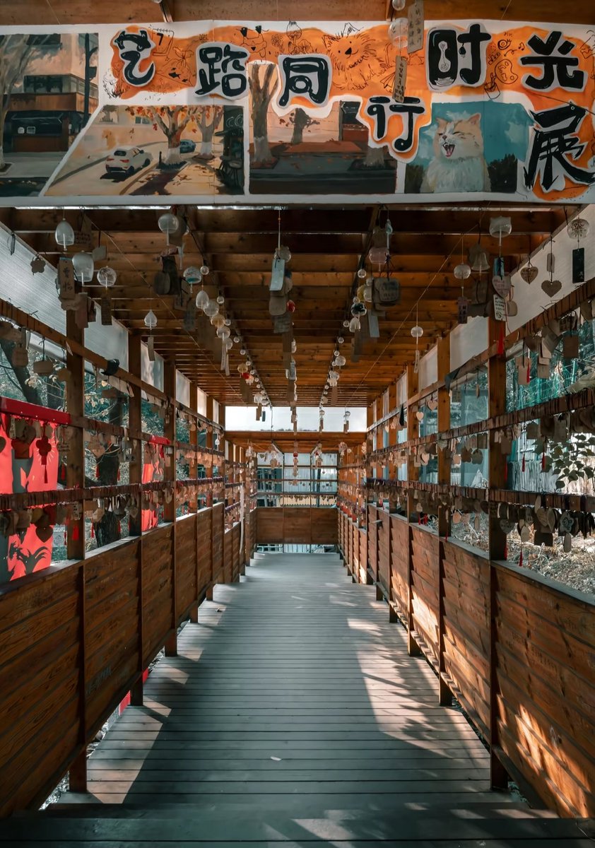 悦悦日记 tweet media