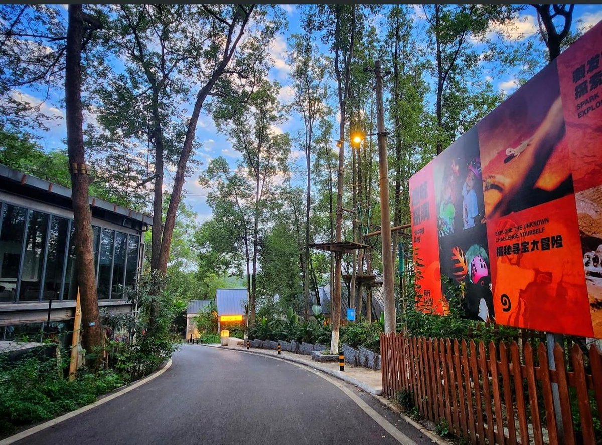 悦悦日记 tweet media