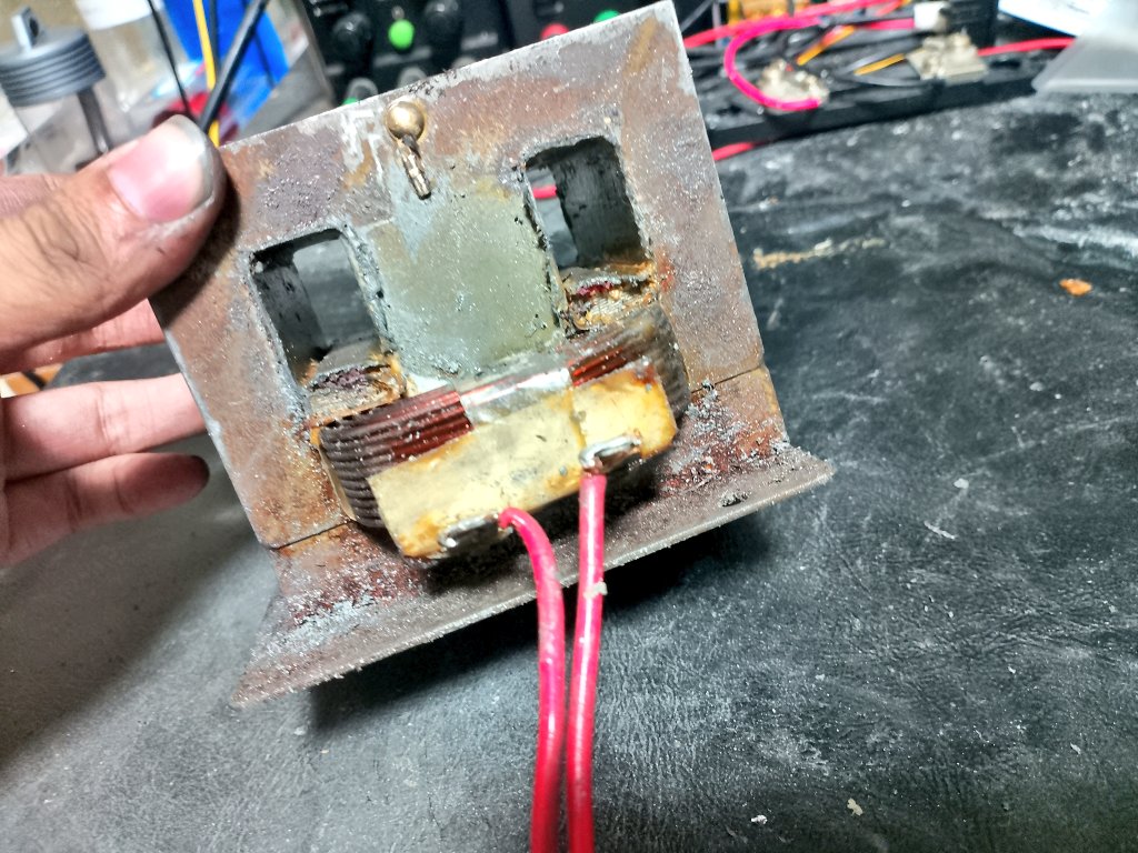 こいるガン⑨ tweet media