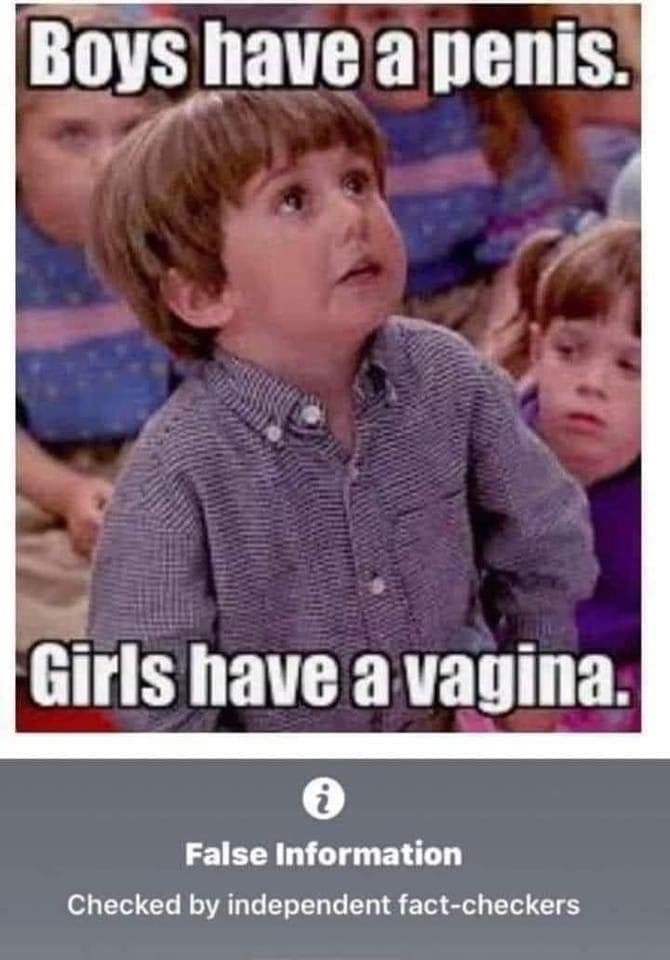 Thomas Occhi tweet media