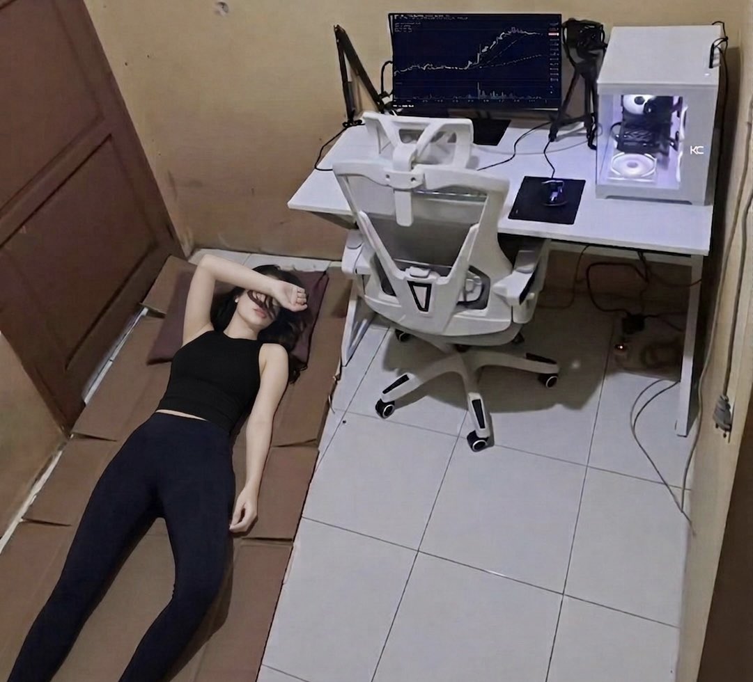 X Ξ N A 🦋 tweet media