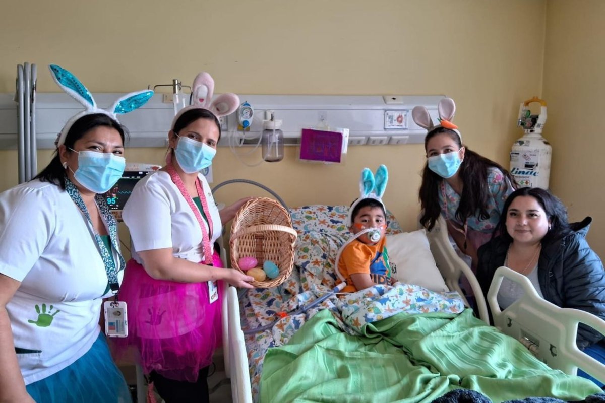 Hospital de Chillán tweet media