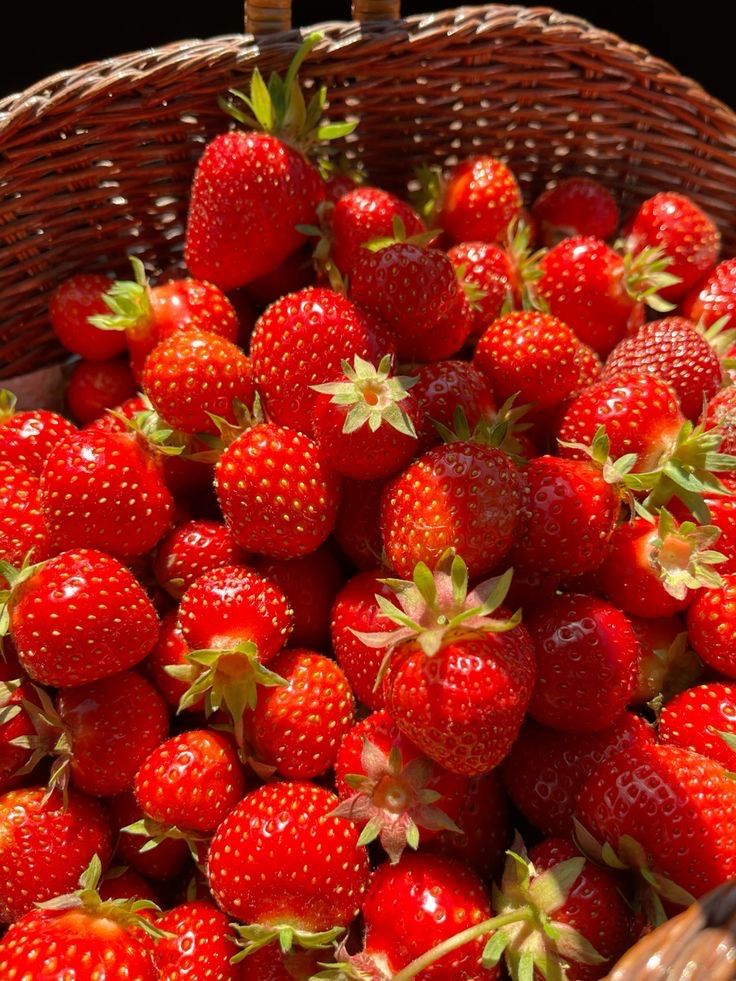 maruumamaru tweet media