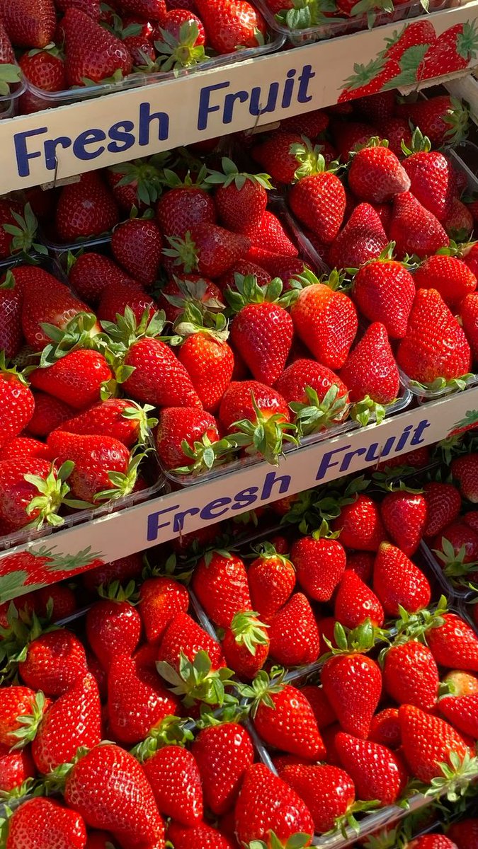 maruumamaru tweet media