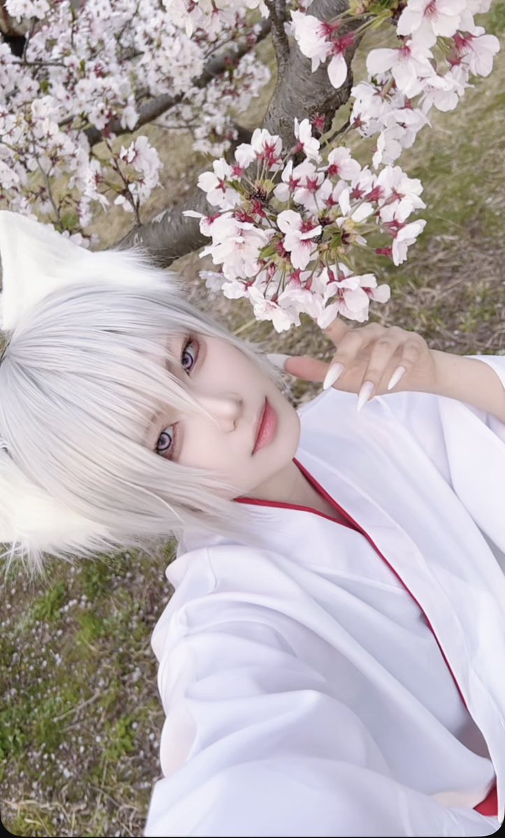 ふるや tweet media