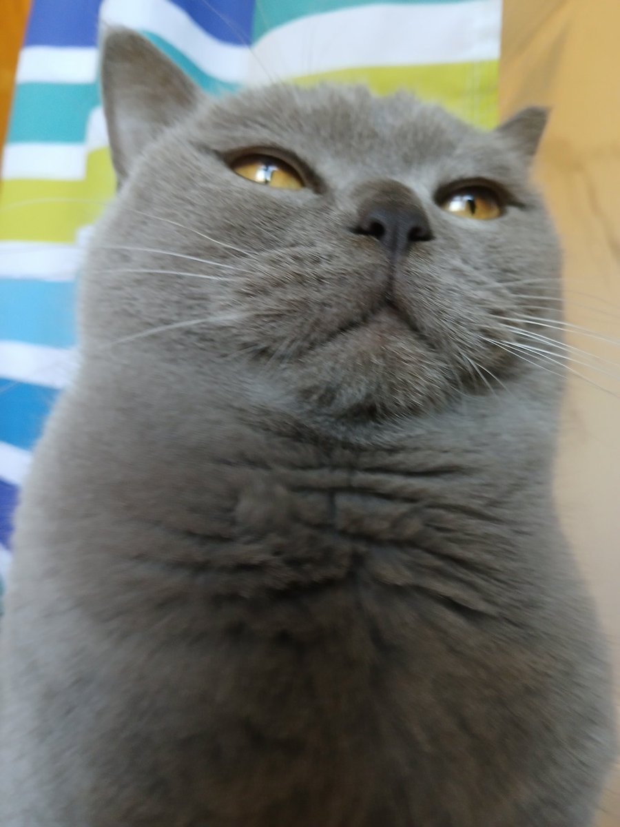 valentine 🍀 tweet media