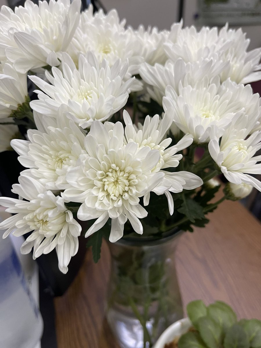 dianneyekel's tweet photo. Some pretty flowers for my desk this morning.  Happy Monday everyone! https://t.co/oHtPBEsiHg
