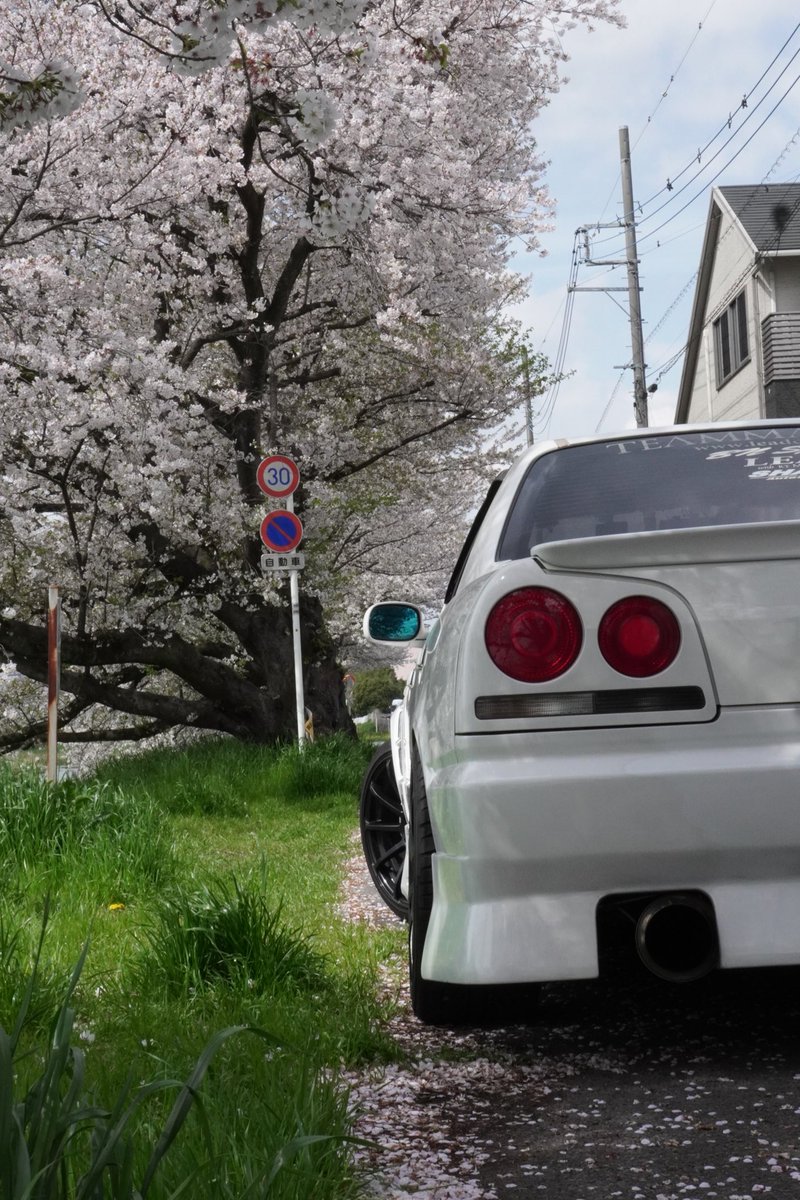 kabosukeGames's tweet photo. ER34と桜を撮って来た！本当はLA31とCPV35も一緒に撮りたかったなぁ🥲 
そして帰りにトミカリミテッドヴィンテージネオ ER34 25GT-X買ってきた！ https://t.co/lG5iMNxGet