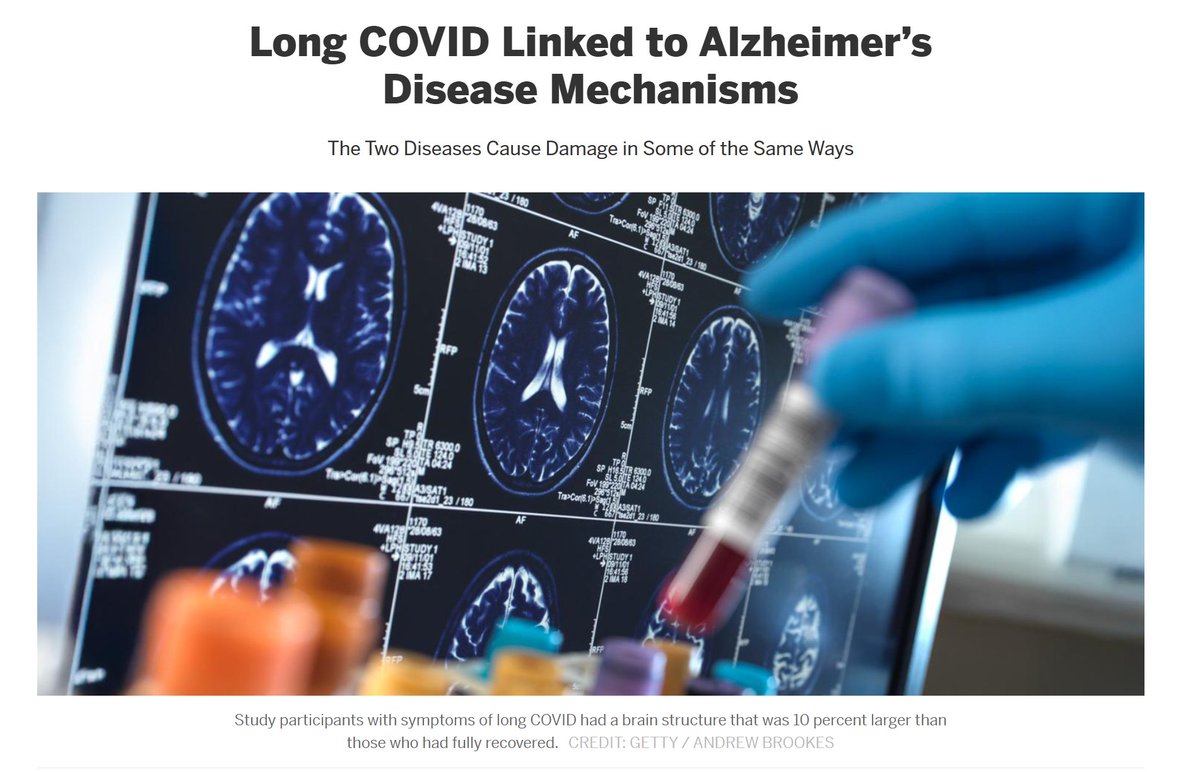 Covid Caution - BA.3.2, XFG, LF.7, LP.8.1 tweet media